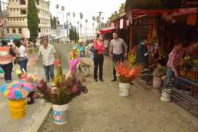 Avanza la ampliación del andén en la zona de las ventas de flores por la Avenida Las Araucarias.  