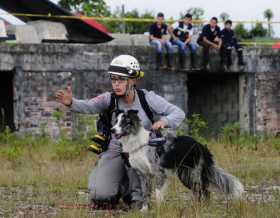 Ruinas libres para los perros de rescate
