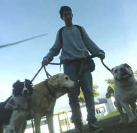 Santiago, el paseador de mascotas