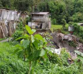 En el sector de La Carrilera (Manizales) colapsó una casa 