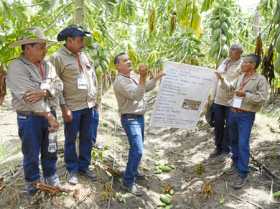  20 adultos mayores desmovilizados de las FARC y el ELN se capacitan en labores agrícolas en una finca del municipio de Toro (Va