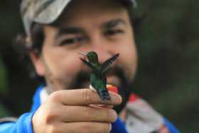 Caldas revisará su inventario de aves