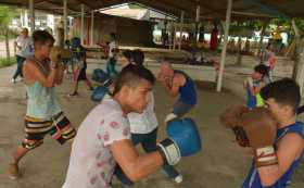 Boxeo