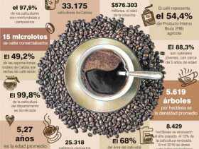 Los números del café en Caldas