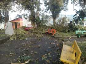 Tormenta dejó sin energía eléctrica a Anserma y 20 veredas