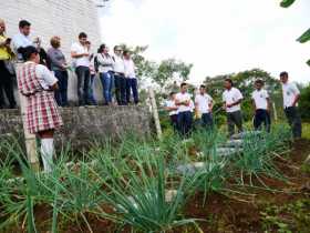 Proyectos agropecuarios en el colegio Gómez Arrubla.