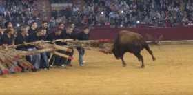 ForconPortugalYouTube