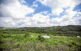 En el 2005 el Grupo Argos decidió llevar a cabo en la región de los Montes de María su proyecto de reforestación adquiriendo tie