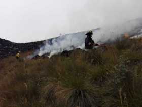 Ocho hectáreas del PNN Los Nevados se quemaron en incendio forestal