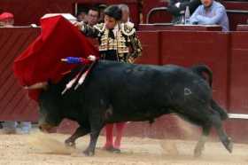 Torero José Garrido en Bogotá
