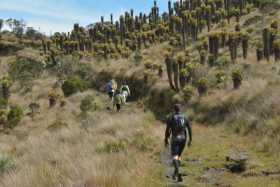 Atletismo