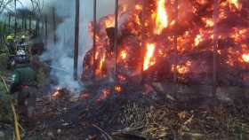 Incendio en molienda. 