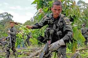 La Policía Nacional continua su lucha contra el narcotráfico, y para ello insiste en la erradicación de cultivos de coca en Tuma