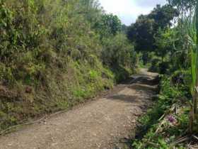 Sitio del homicidio. 