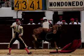 Avanza ley que prohibiría las corridas de toros en Colombia