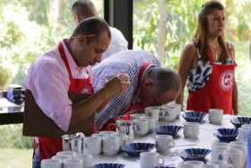 Mejores cafés de Caldas, listos para la subasta