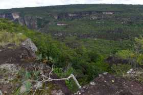 Ampliarán extensión del Parque Natural de la Serranía de Chiribiquete