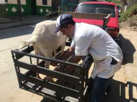 Actividades en Anserma, Manzanares, Supía y Pácora