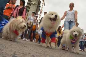 Desfile mascotas