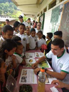 Agroferia en La Cabaña