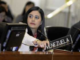 La representante del Gobierno de Nicolás Maduro, Asbina Marín, mientras habla con la placa levantada de Venezuela en rechazo al 