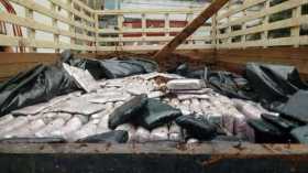 Fotos Policía | LA PATRIA La droga incautada al final de la tarde del martes.