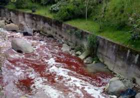 Foto | Archivo | LA PATRIA