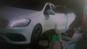 El carro en el que iban los implicados, un Mercedes Benz.