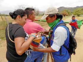Foto | Colprensa | LA PATRIA  La guardía indígena intenta controlar el norte del Cauca donde operan grupos guerrilleros y bandas