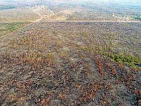 Vista de un área afectada por un incendio en el estado de Mato Grosso (Brasil).