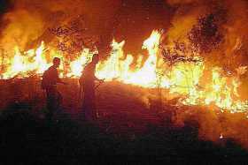 En Pará, el estado más afectado por el fuego y donde fueron registrados cerca de 6 mil 500 incendios solo en las tres primeras s