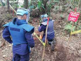 Dos minas antipersonas halladas en Pensilvania llevaban unas dos décadas enterradas