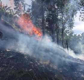 Lugar del incendio