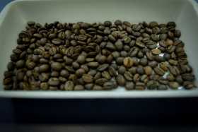 Precio del café, el más alto en tres años