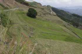 Foto | Archivo | LAPATRIA