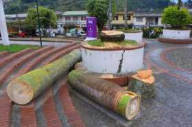 palmasenparquedebolivardemanzanares