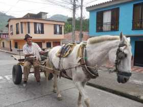 Se aplaza sustitución de carretilleros en Chinchiná 