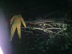  Por la caída de un árbol la vía quedó obstruida por varias horas en Risaralda.