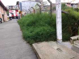 Foto | Cortesía | LA PATRIA