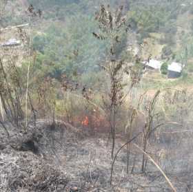 Controlan incendio forestal en la vereda En Medio de los Ríos (Salamina) 