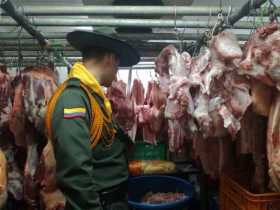 Incautaron dos toneladas de carne en Chinchiná