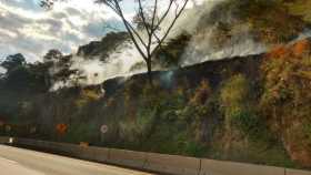 Bomberos atienden incendio forestal en San Peregrino (Manizales)
