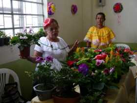 La comerciante Gilma Flores expuso en las Ferias de la Horticultura varios tipos de flores que cultiva en el patio de su casa. L