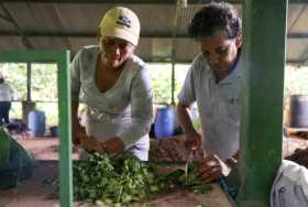 Mujeres trabajan en un programa de agroecología promovido por el programa.