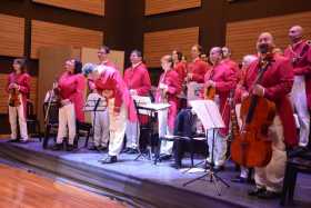 Strauss sonó en el auditorio de Batuta