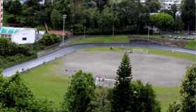 Sector del homicidio