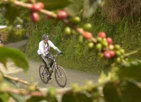 Polideportivo: conozca la programación deportiva del fin de semana