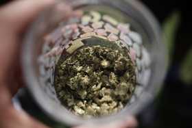 Consejo de Estado mantiene decreto que prohíbe porta droga