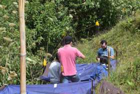 Perchas artificiales con aves para restauración ecológica en la reserva forestal el Popal, otra idea de estudiantes del Cinoc.
