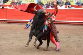 Paco Perlaza en XX Toros y Ciudad